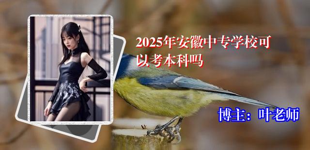 2025年安徽中专学校可以考本科吗