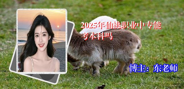 2025年仙桃职业中专能考本科吗