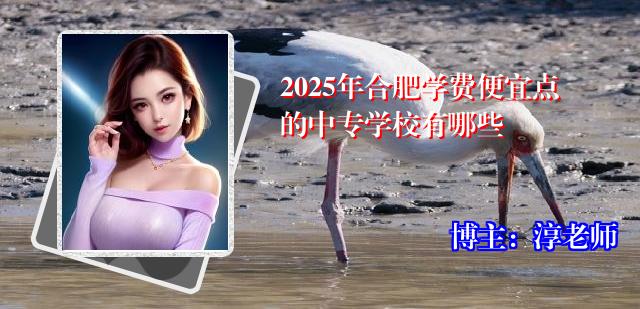 2025年合肥学费便宜点的中专学校有哪些