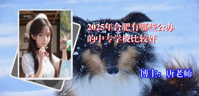 2025年合肥有哪些公办的中专学校比较好