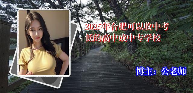 2025年合肥可以收中考低的高中或中专学校
