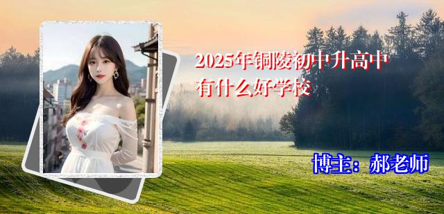 2025年铜陵初中升高中有什么好学校