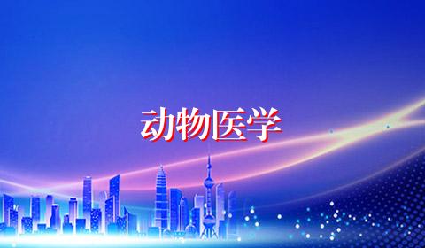 动物医学