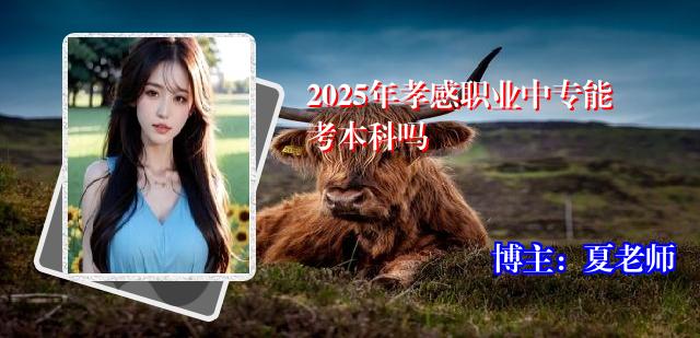 2025年孝感职业中专能考本科吗