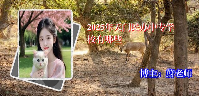 2025年天门民办中专学校有哪些
