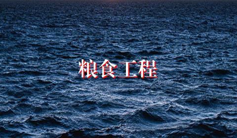 粮食工程