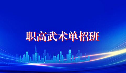 职高武术单招班
