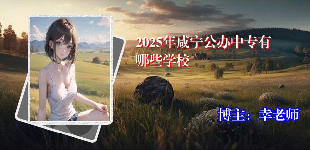 2025年咸宁公办中专有哪些学校