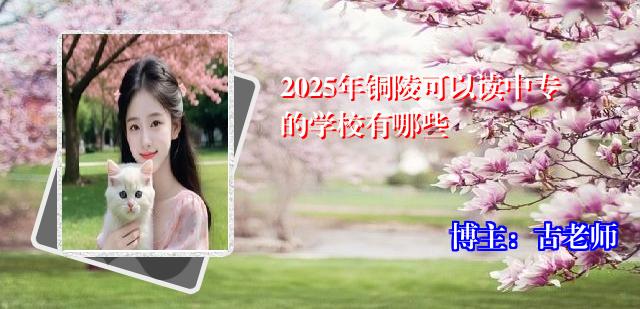 2025年铜陵可以读中专的学校有哪些