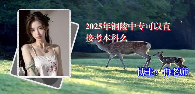 2025年铜陵中专可以直接考本科么