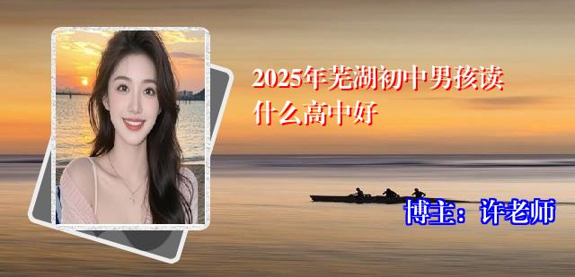 2025年芜湖初中男孩读什么高中好