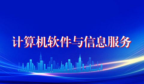 计算机软件与信息服务
