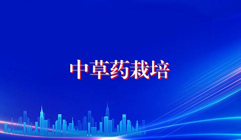 中草药栽培