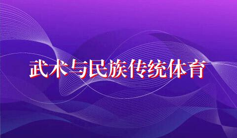 武术与民族传统体育