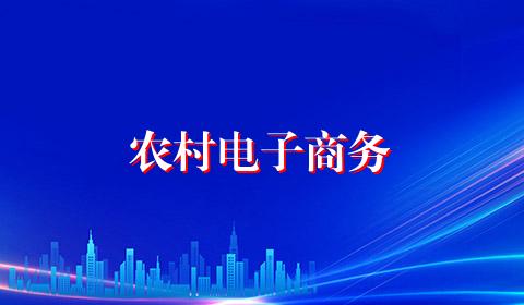 农村电子商务