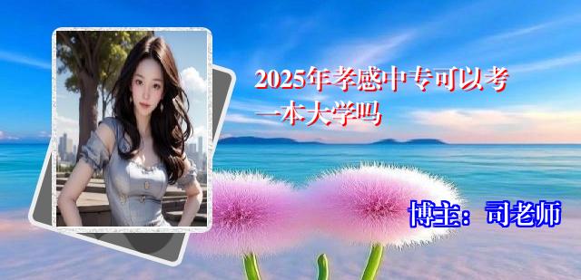 2025年孝感中专可以考一本大学吗