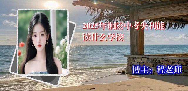 2025年铜陵中考失利能读什么学校