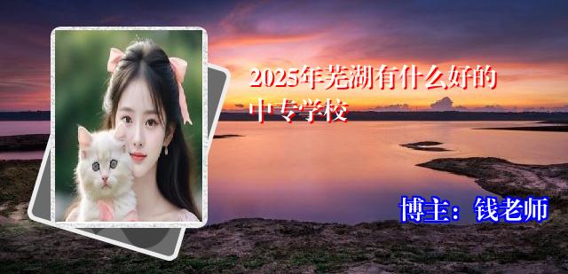 2025年芜湖有什么好的中专学校