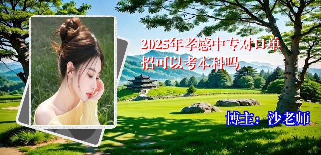 2025年孝感中专对口单招可以考本科吗