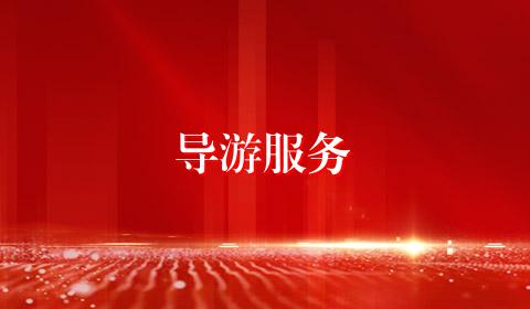 导游服务
