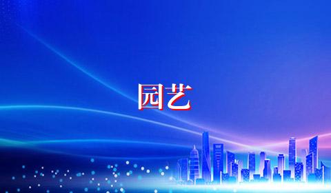 园艺