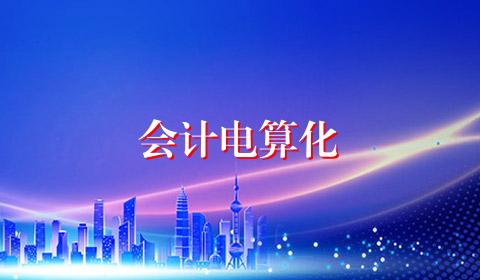 会计电算化