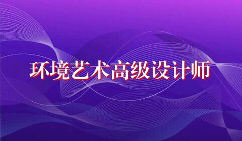 环境艺术高级设计师