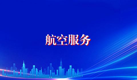 航空服务