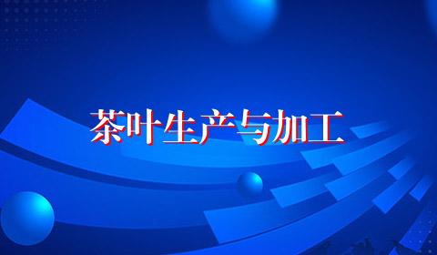 茶叶生产与加工