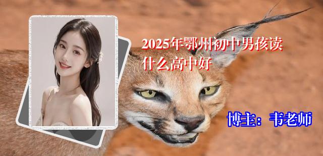 2025年鄂州初中男孩读什么高中好