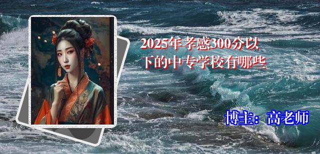 2025年孝感300分以下的中专学校有哪些