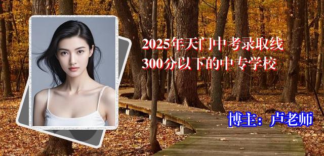 2025年天门中考录取线300分以下的中专学校