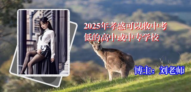 2025年孝感可以收中考低的高中或中专学校