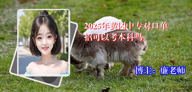 2025年黄冈中专对口单招可以考本科吗