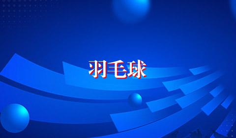 羽毛球