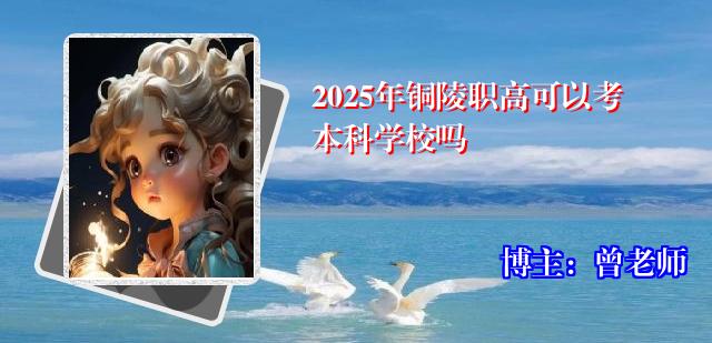 2025年铜陵职高可以考本科学校吗
