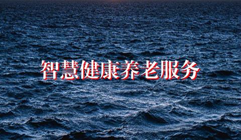 智慧健康养老服务