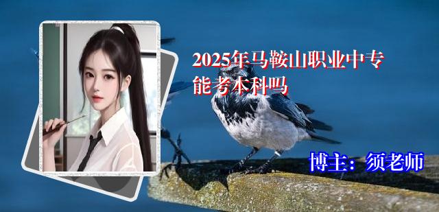 2025年马鞍山职业中专能考本科吗
