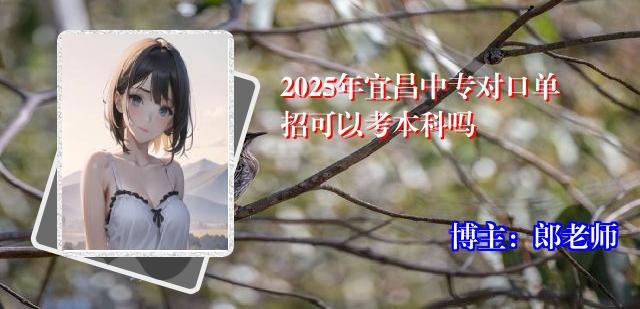 2025年宜昌中专对口单招可以考本科吗