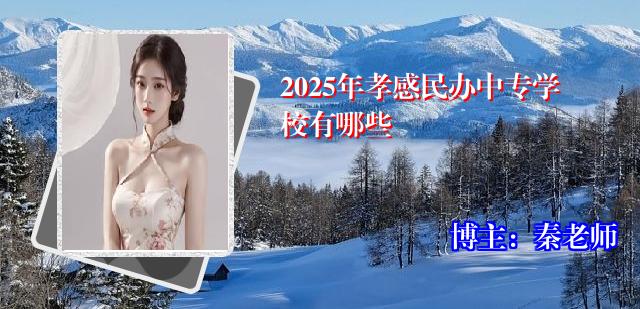2025年孝感民办中专学校有哪些