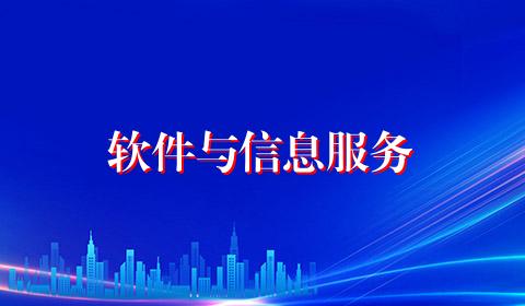 软件与信息服务