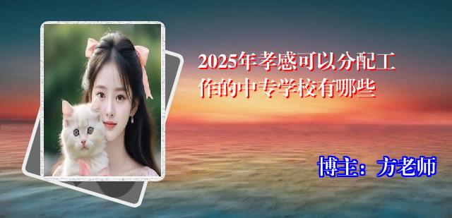 2025年孝感可以分配工作的中专学校有哪些