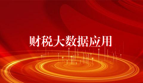财税大数据应用