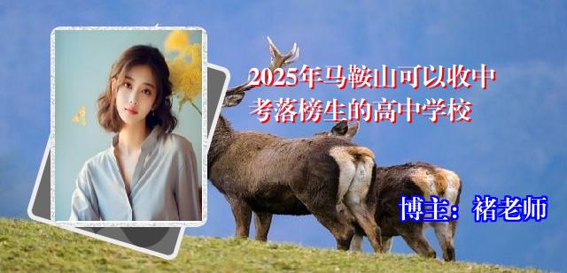 2025年马鞍山可以收中考落榜生的高中学校