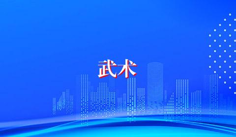 武术