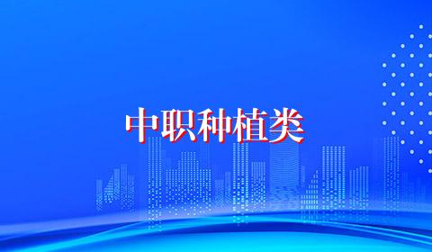 中职种植类