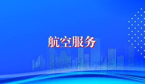 航空服务