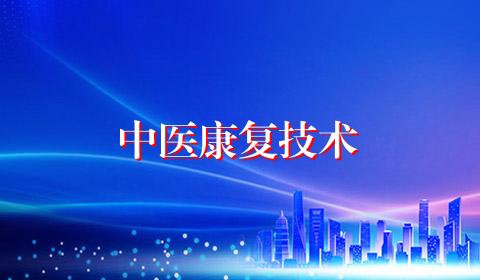 中医康复技术