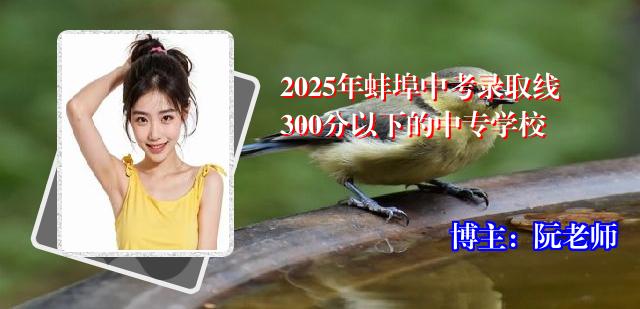 2025年蚌埠中考录取线300分以下的中专学校