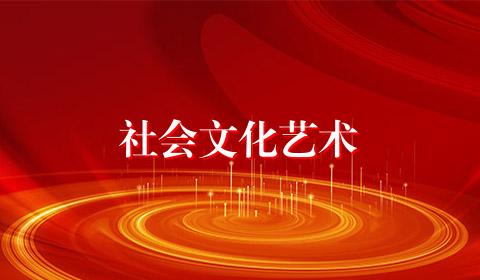 社会文化艺术
